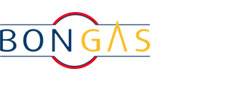 bongas-brasil-logo